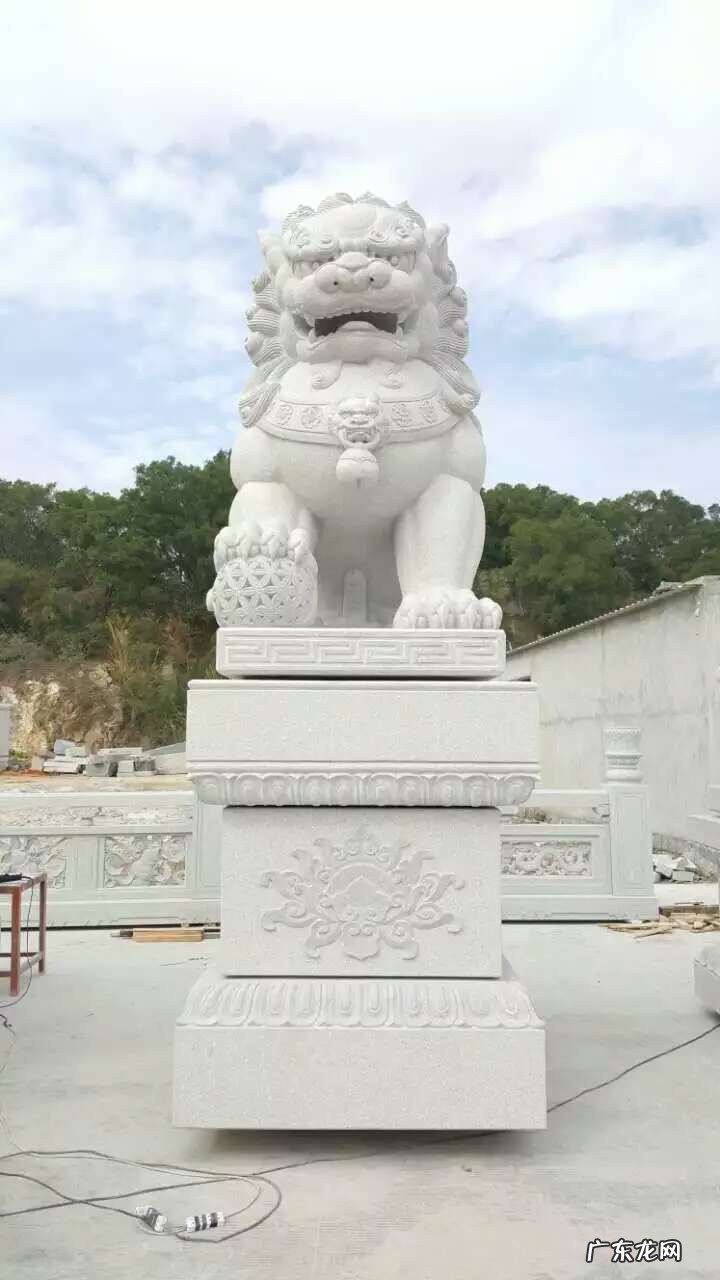 小狮子图片 狮子口风水图片大全