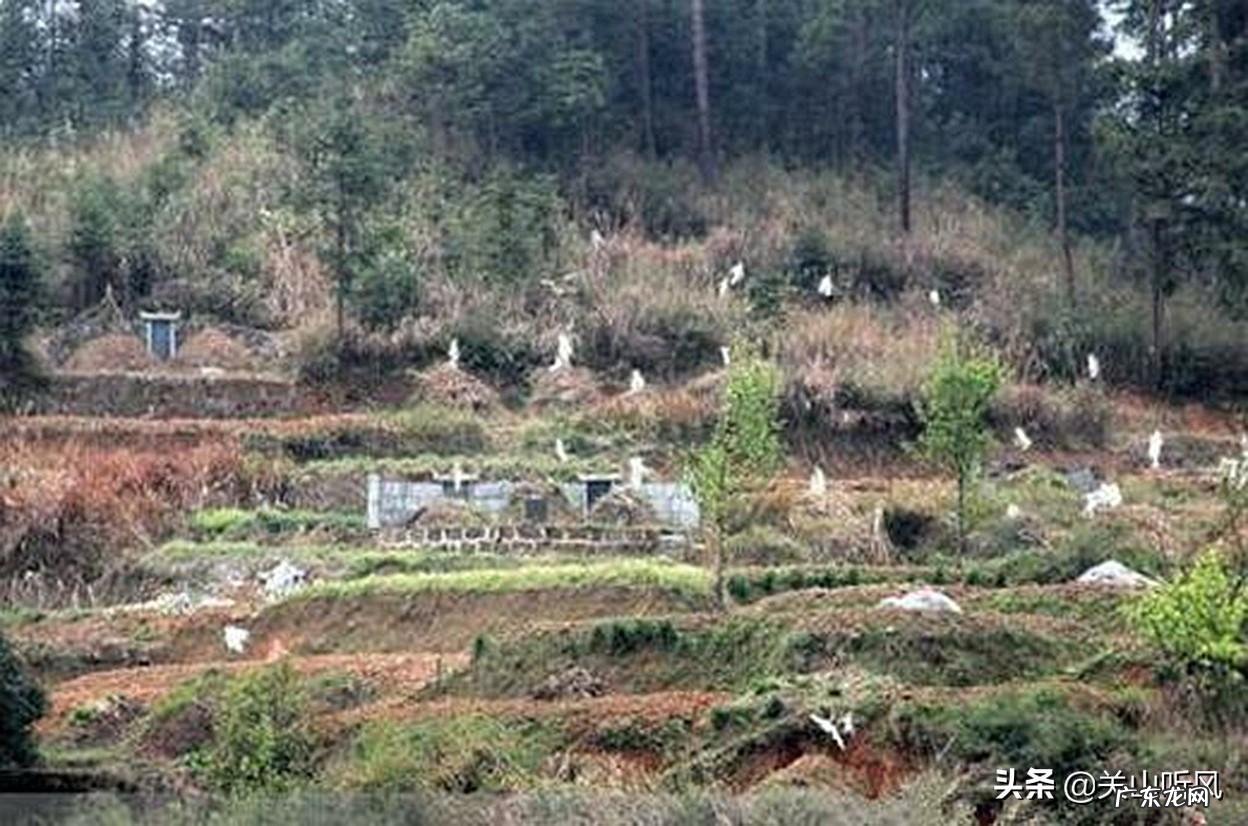 绿色焚香 节日的焚香在哪接