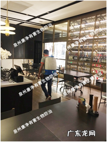 怎样消灭蟑螂最有效土方法 消灭蟑螂的家庭小妙招有哪些