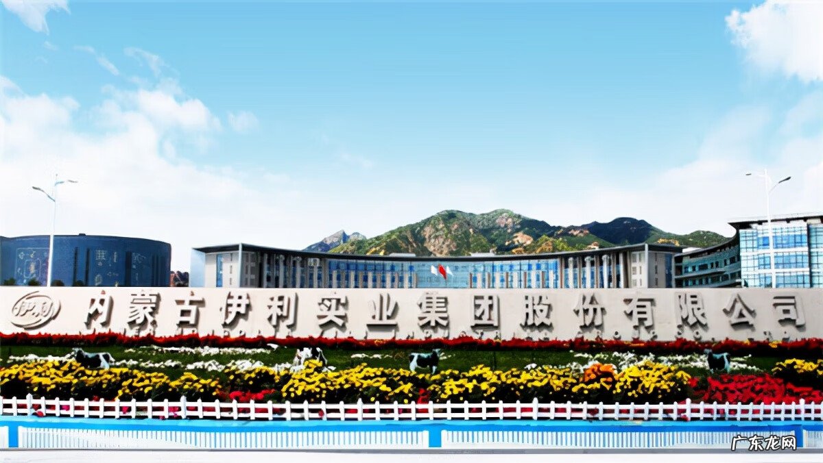 十大进口奶粉排行榜名单 伊利奶粉金领冠怎么样