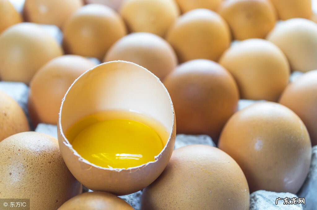 软磷脂是什么东西 软磷脂作用