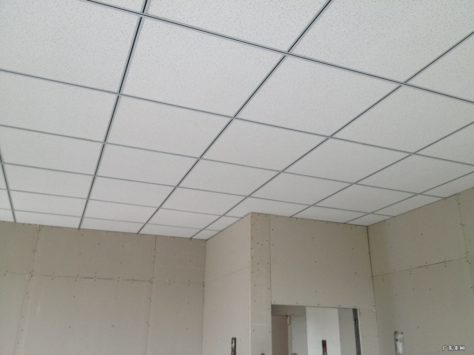 小客厅吊棚 楼房吊棚用什么材料