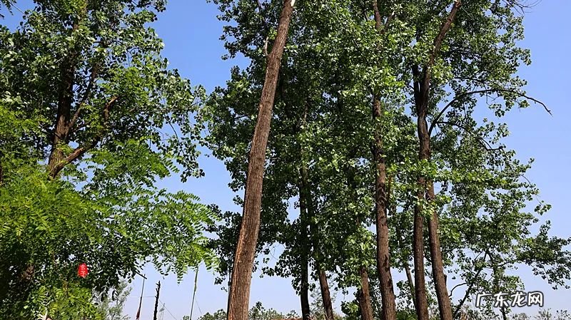 周口看风水 周口风水先生