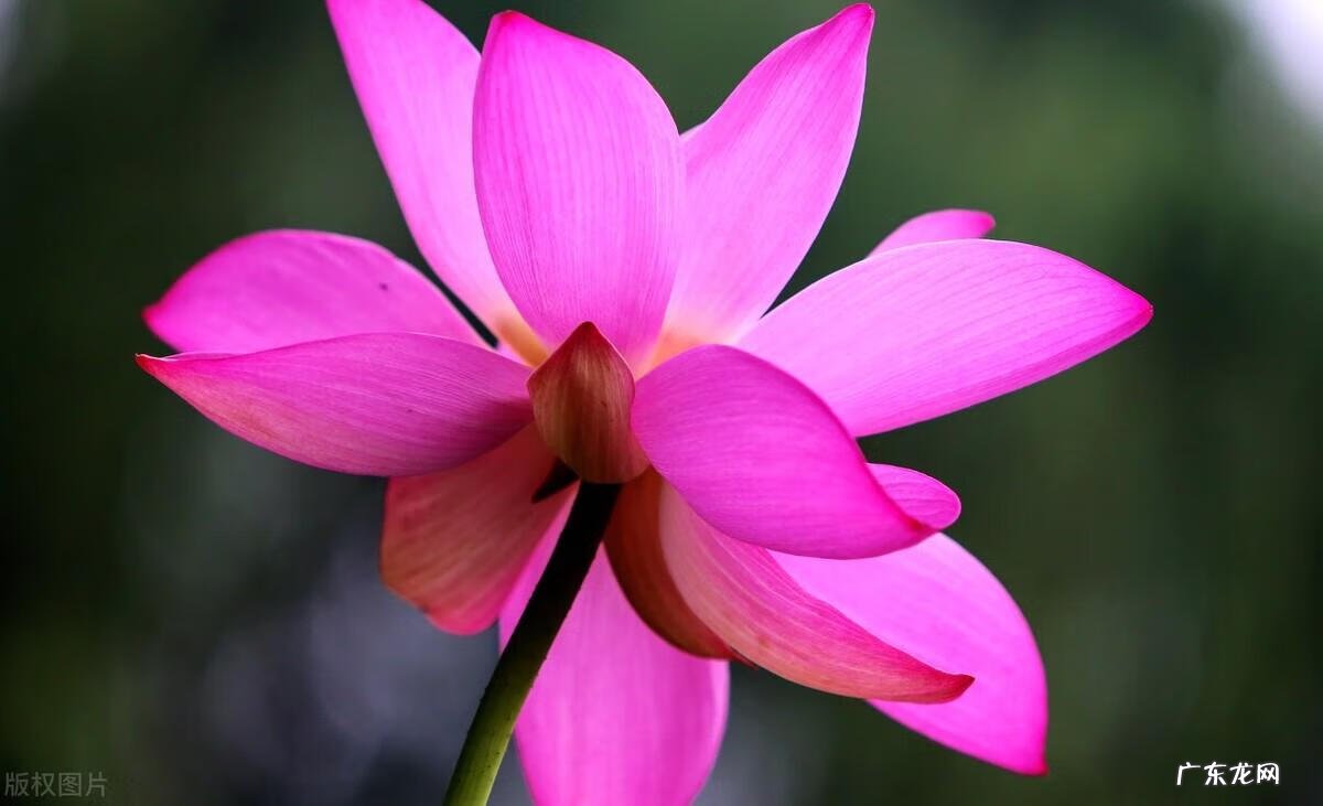 假期英语辅导班 假期英语培训心得