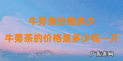 牛蒡茶的价格是多少钱一斤 牛蒡茶价格多少