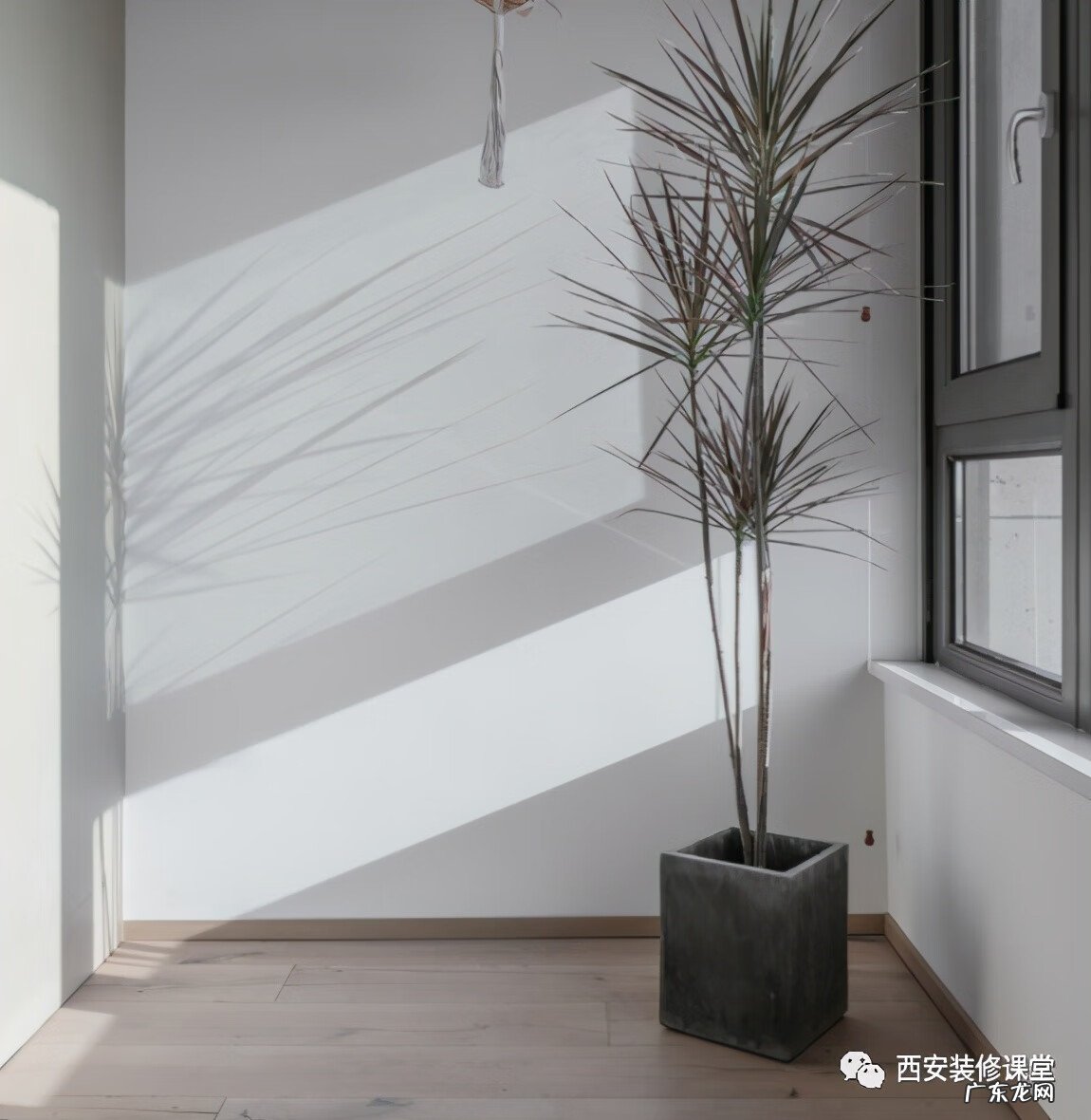 大门和窗哪个高好风水 窗高过门的风水好吗?