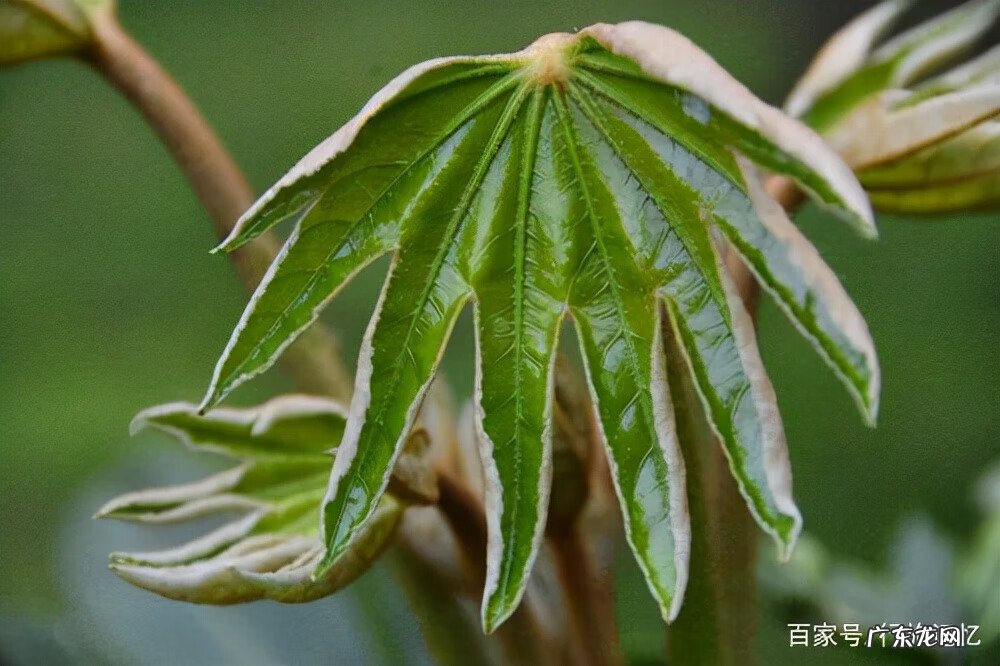 风水四大吉位 八方来财风水