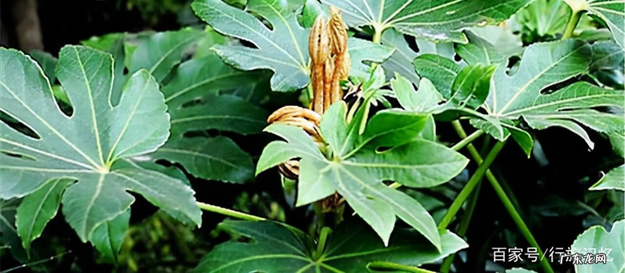 风水四大吉位 八方来财风水