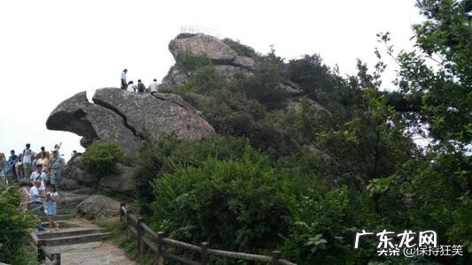 新乡天瑞水泥 太行水泥天瑞水泥豫风水泥哪个好