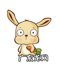 香港著名风水事件 香港风水大师