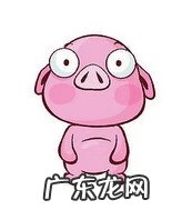 香港著名风水事件 香港风水大师