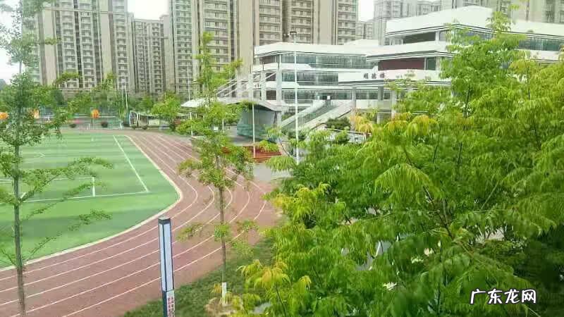 数学考试质量分析 数学质量分析报告