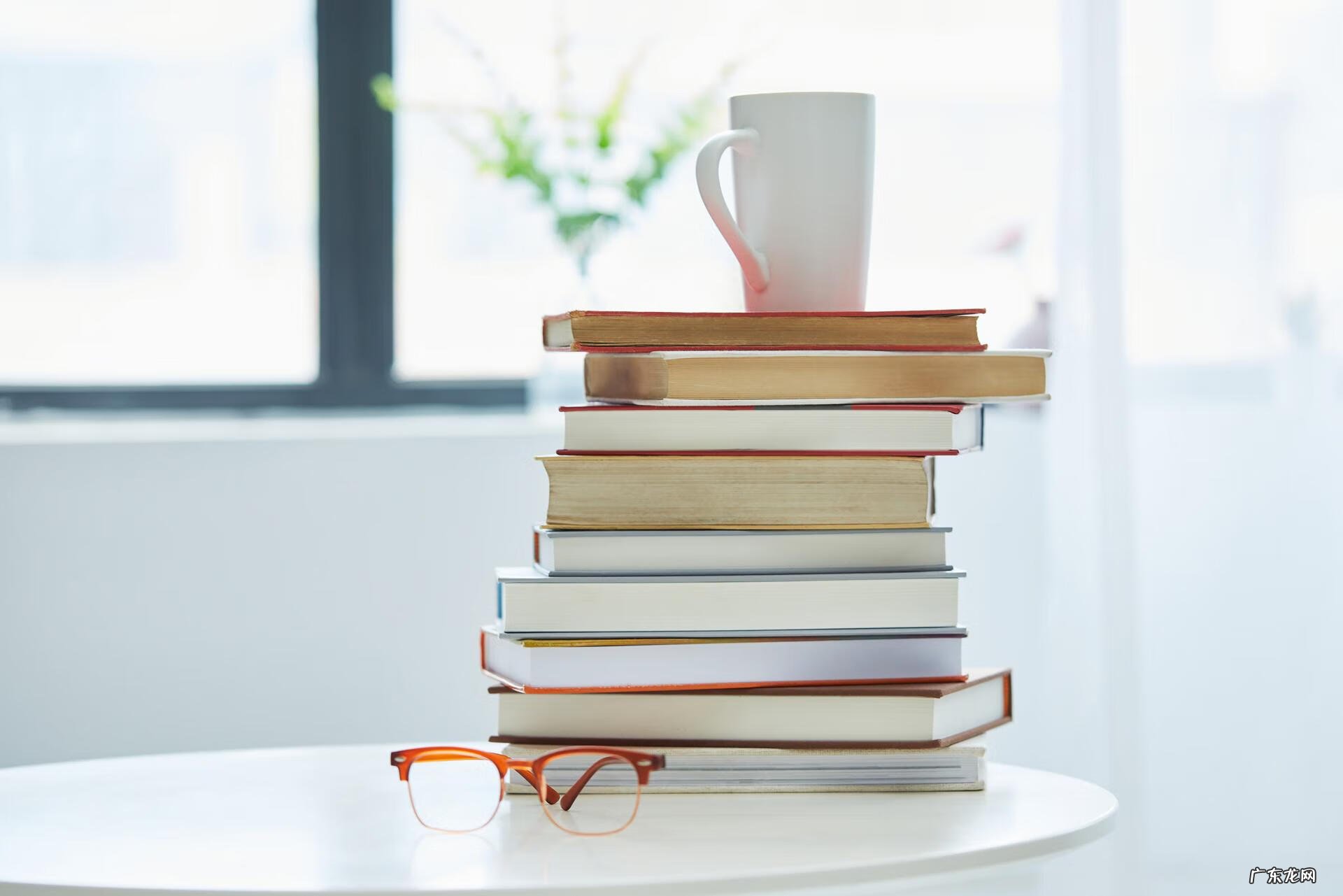 成考学位英语在哪里考试 学士学位英语考试报名条件