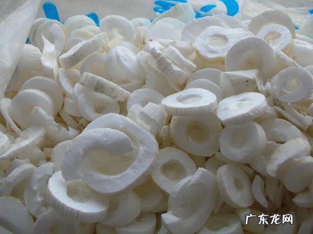 通草与小通草有区别吗 小通草和大通草的区别