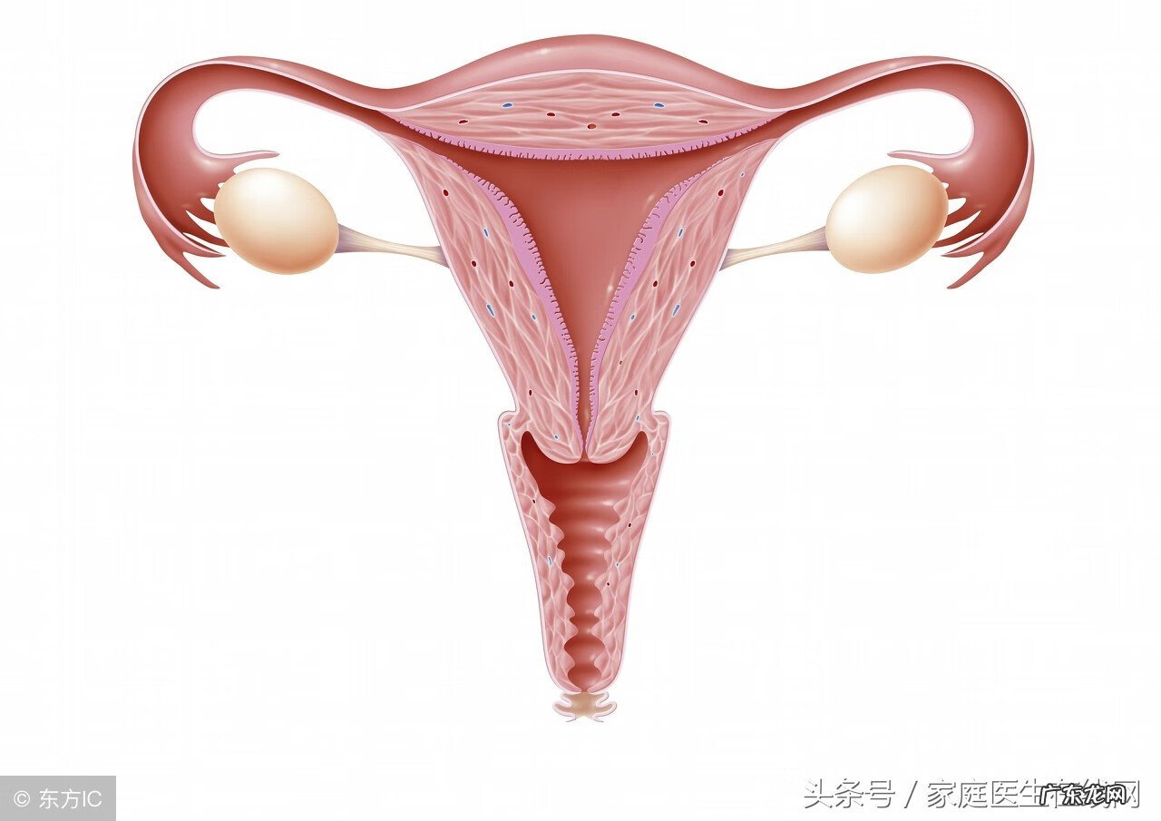 我的卵巢早衰终于好了 卵巢早衰的现象有哪些