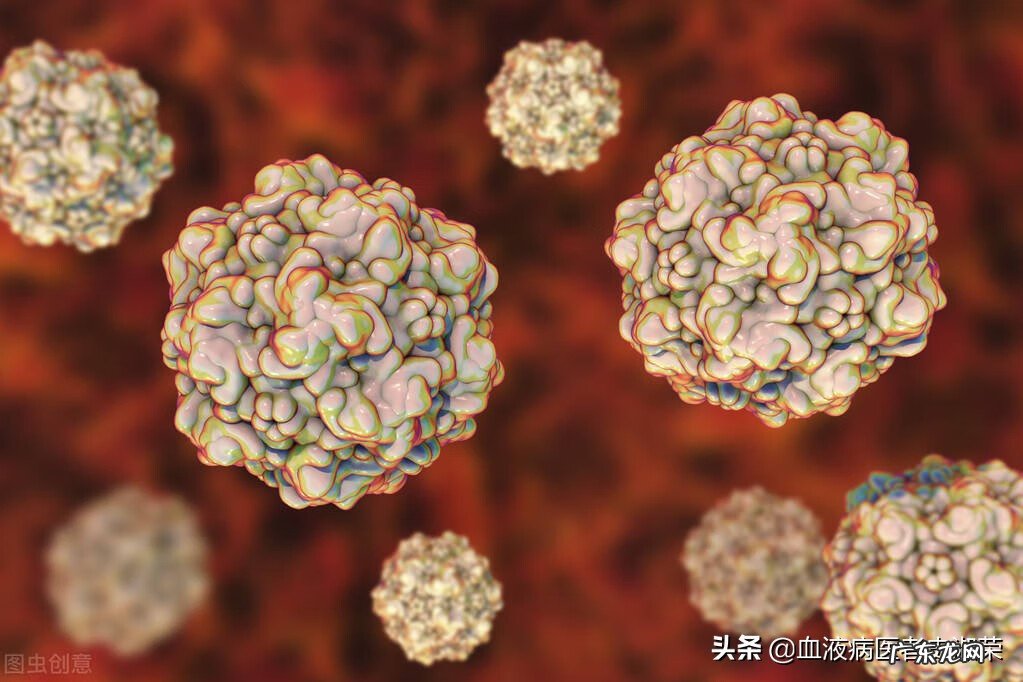 血液病有哪几种 血液病有哪些