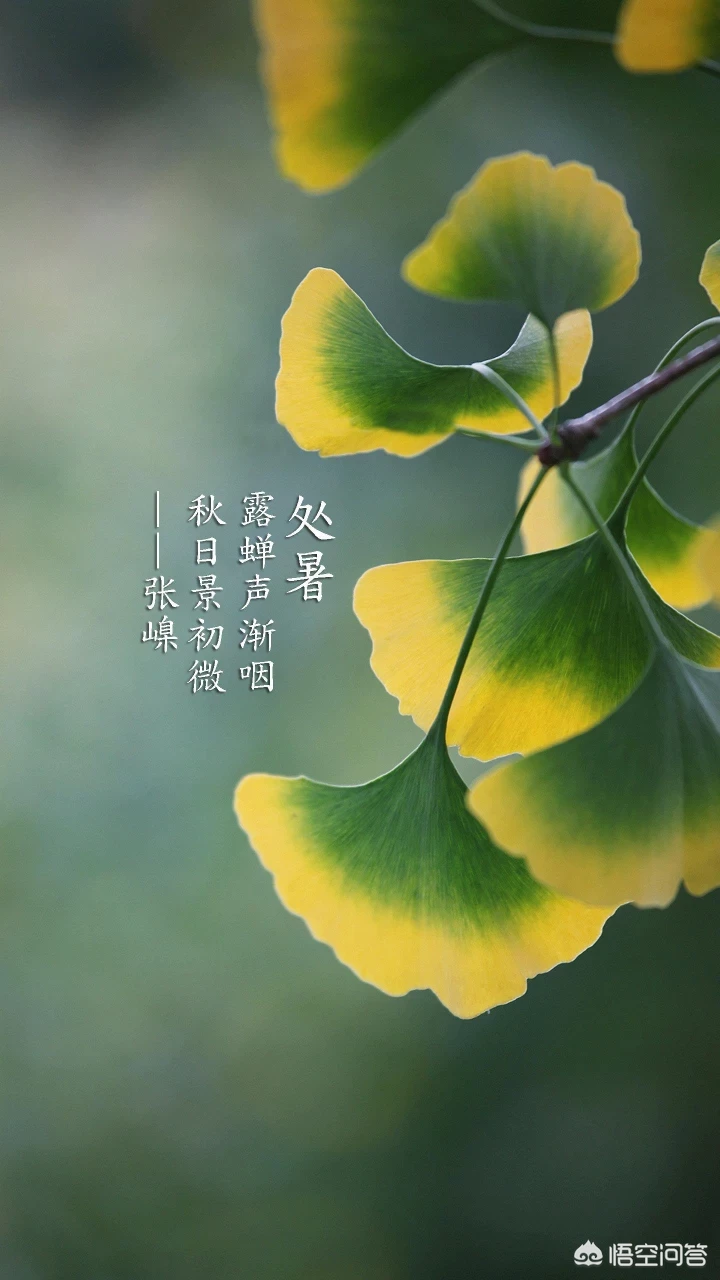 有些年轻人没有养老储蓄，没存款应该如何规划养老？