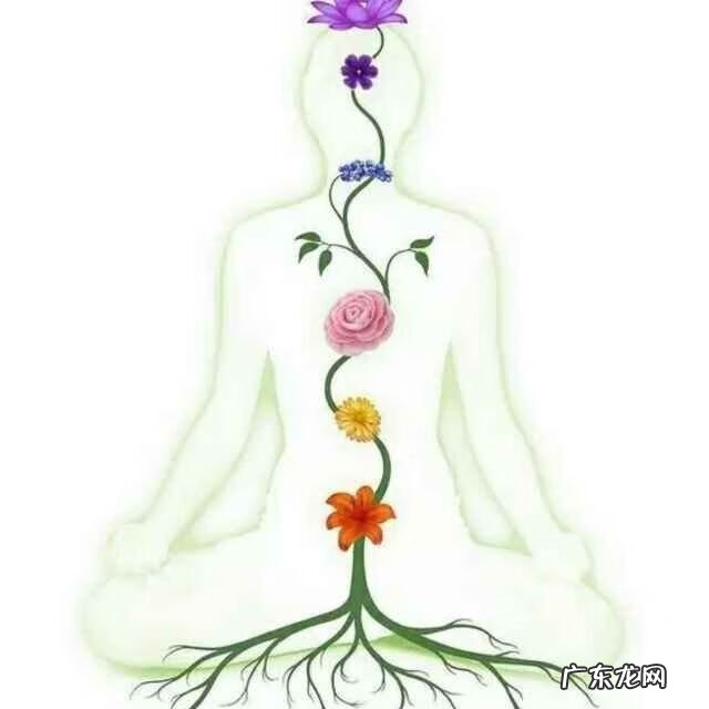 财位放风水轮好不好 风水轮要分方向吗