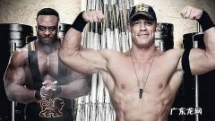 美国摔跤明星大全 摔跤明星名字