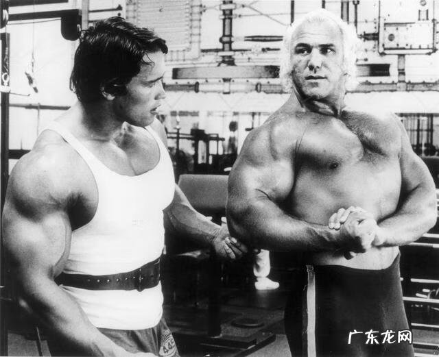 美国摔跤明星大全 摔跤明星名字