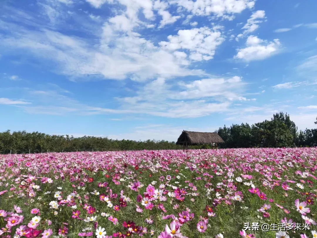 搬家当天注意事项有哪些?有搬过搬友知道吗?
