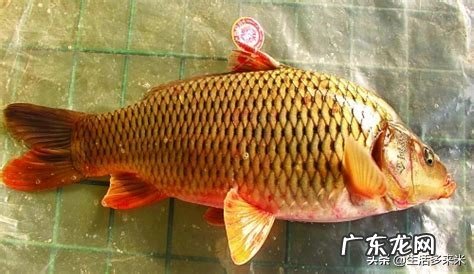 搬家当天注意事项有哪些?有搬过搬友知道吗?