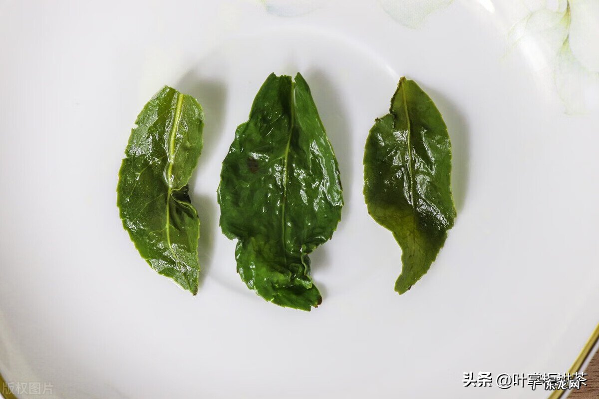 铁观音是绿茶还是什么茶 铁观音是绿茶吗还是红茶