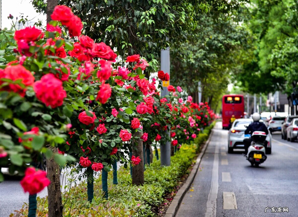 清明节事件 清明节的风水讲解