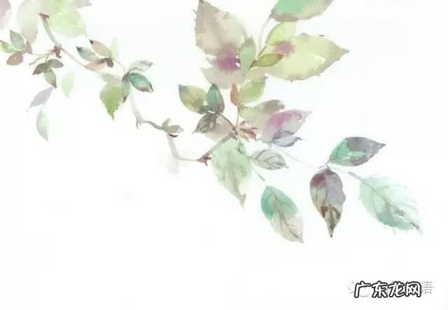 德国德语 德语翻译