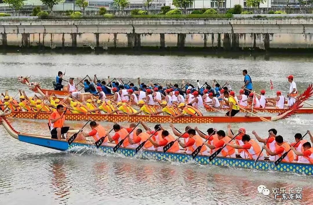 端午节赛龙舟打一动物 端午节划龙舟它的寓意是啥