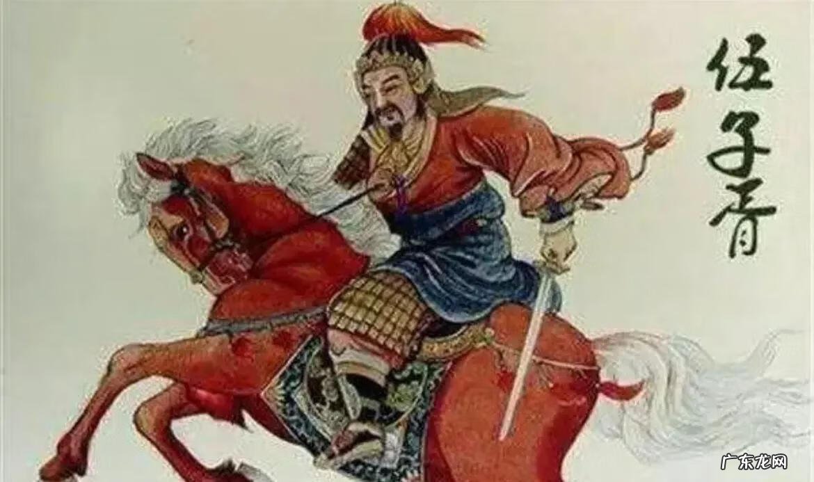 端午节赛龙舟打一动物 端午节划龙舟它的寓意是啥