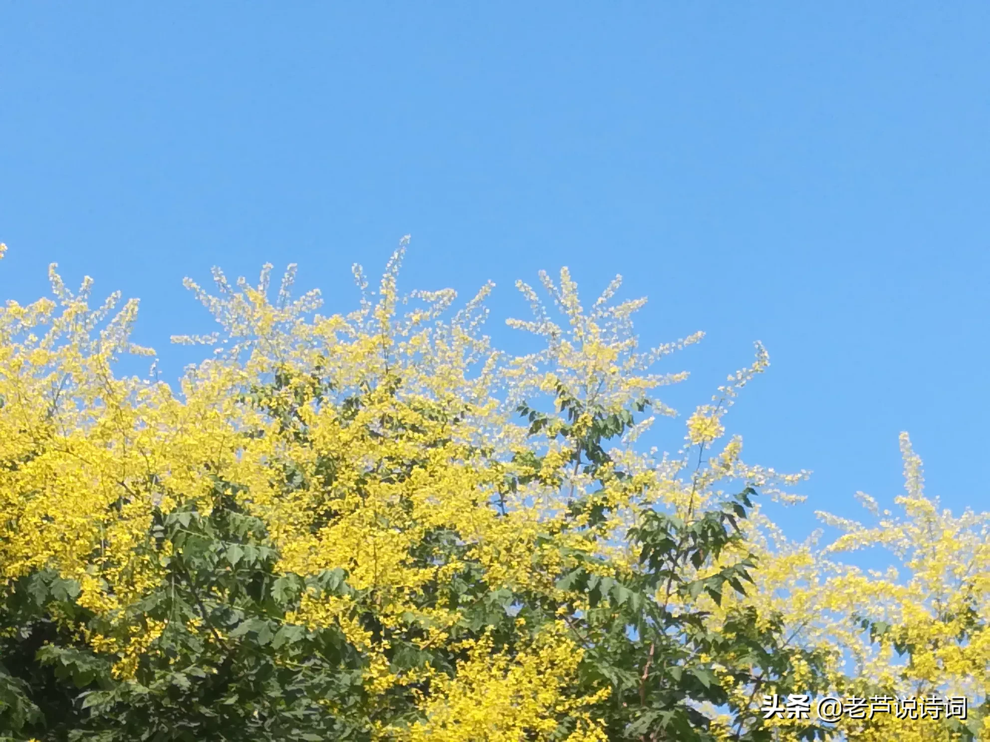 有哪些描写四季的古诗及意思的大全?