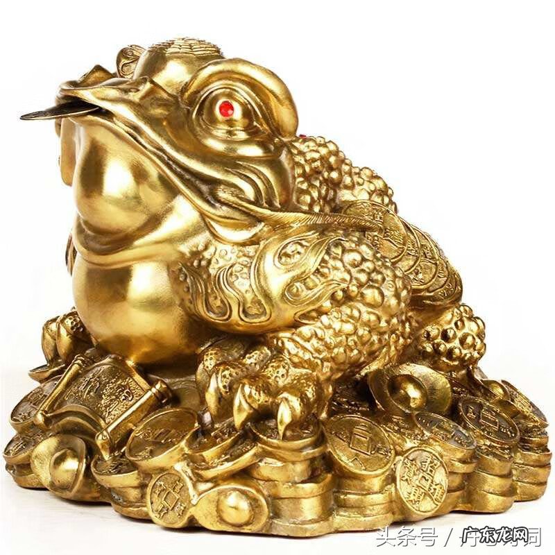 龙龟能不能摆一对 什么属相适合摆龙龟