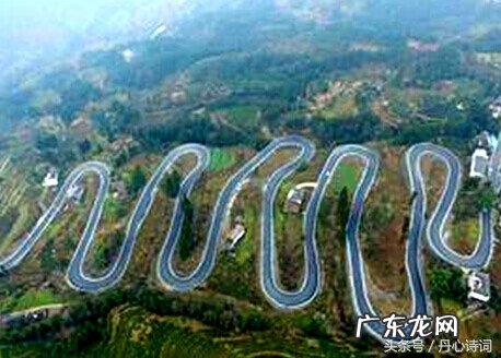 龙龟能不能摆一对 什么属相适合摆龙龟