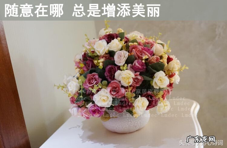 龙龟能不能摆一对 什么属相适合摆龙龟