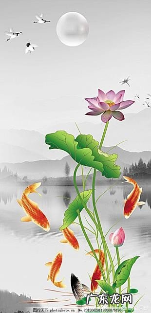 晨雨敲落海棠，是否还依旧？