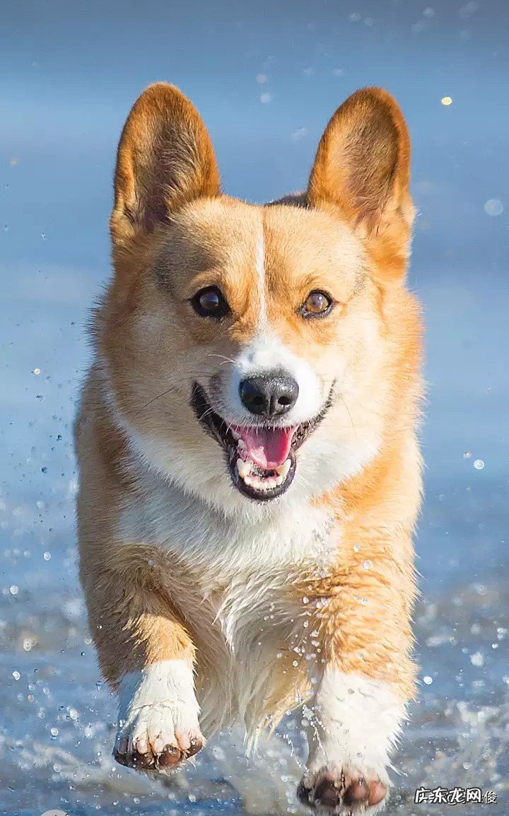 明明不是爱情,却总是会想起那个人,这是什么心理?