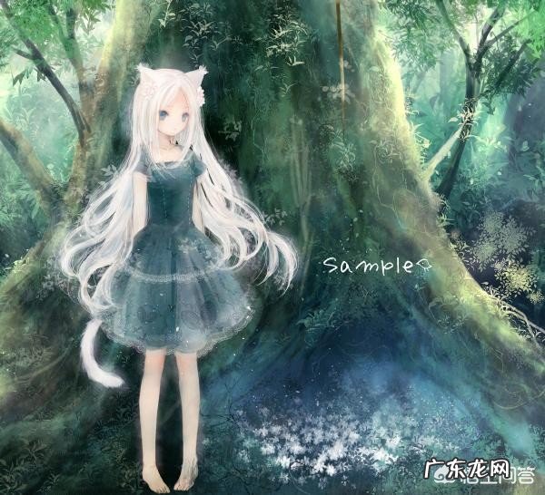 我很好奇,喜欢二次元有错吗?