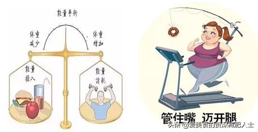 减肥，每日摄入热量不够基础代谢！主要是吃的低热量食物，但是每顿饭都吃的很饱，都感觉撑了，这算节食吗？