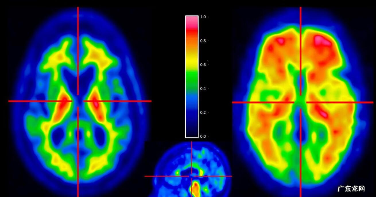 人的大脑如何开发 大脑开发程度