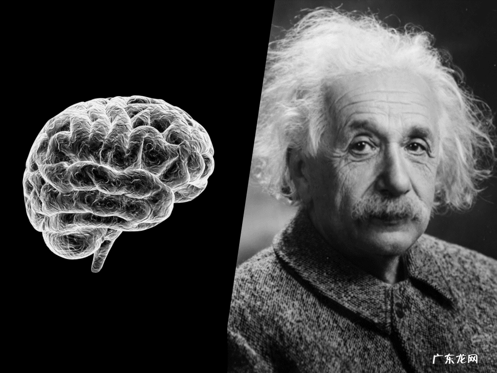 人的大脑如何开发 大脑开发程度