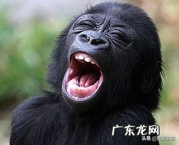 幽默搞笑且又富有哲理的笑话有哪些?