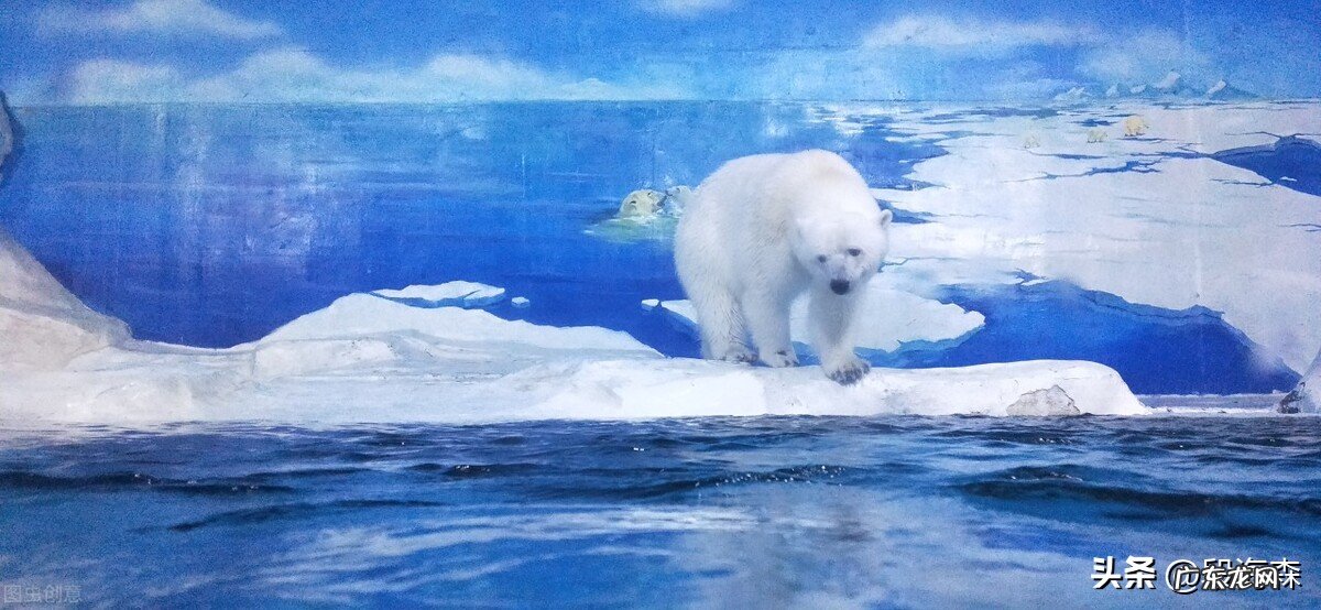 为什么今年夏天感觉格外炎热？