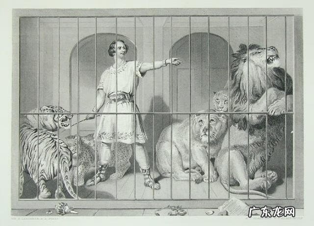 皇家宠物是哪个国家