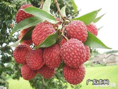 如果你只有100块钱,你会选择创业吗?会选择什么行业?