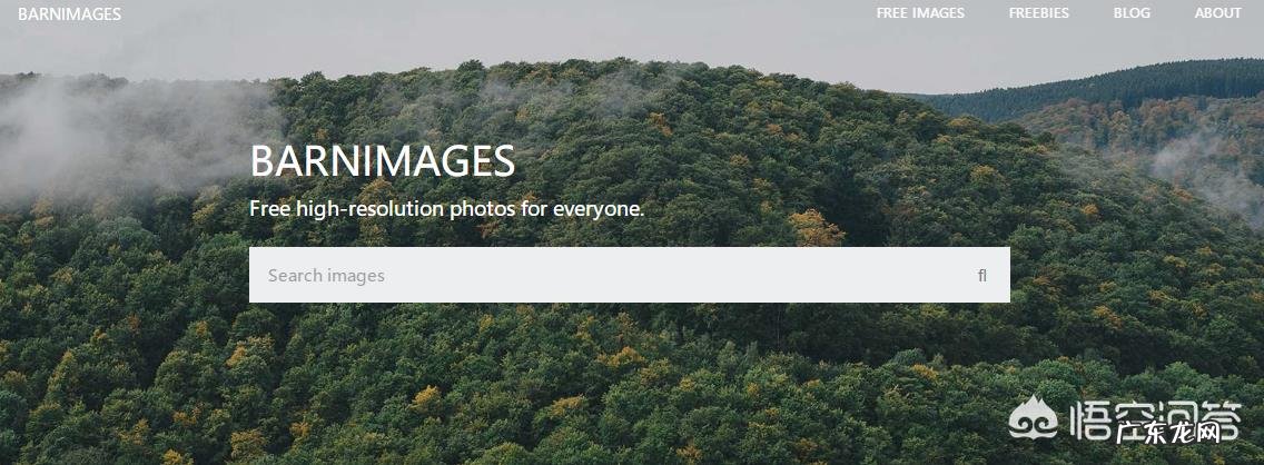 如何找到源源不断的写作素材?