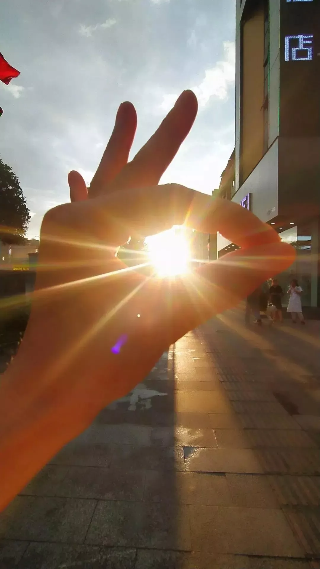 成由勤俭败由奢,现在怎样才能发扬中华民族勤俭持家的优良传统?