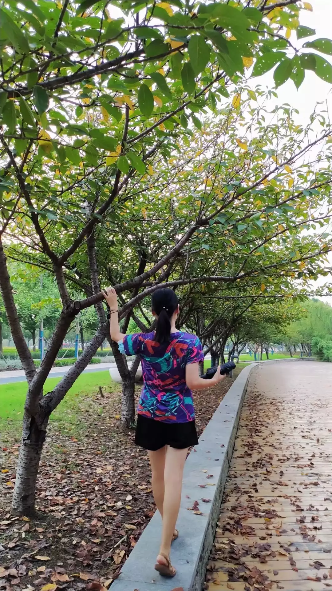 成由勤俭败由奢,现在怎样才能发扬中华民族勤俭持家的优良传统?