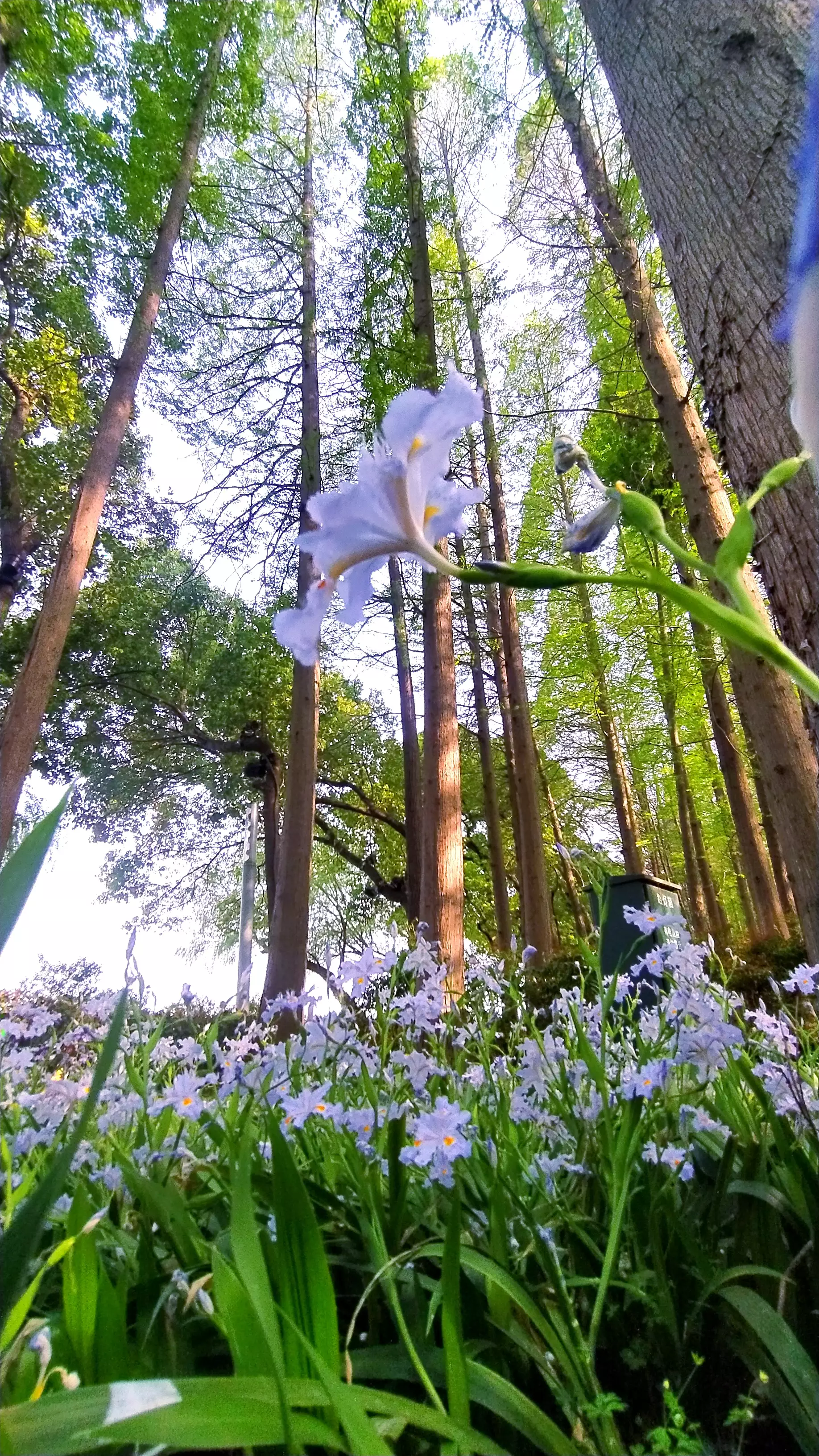 成由勤俭败由奢,现在怎样才能发扬中华民族勤俭持家的优良传统?