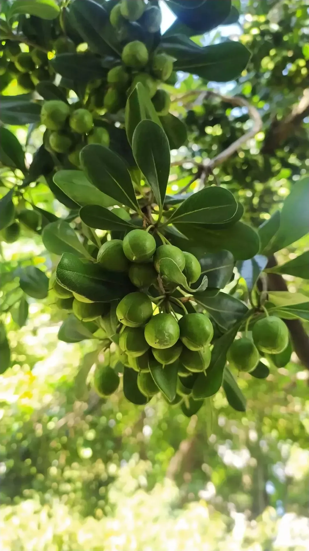 成由勤俭败由奢,现在怎样才能发扬中华民族勤俭持家的优良传统?
